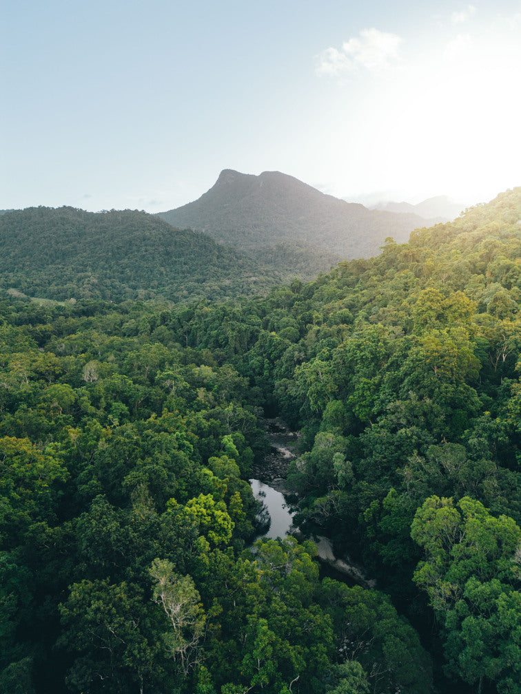 Reef & Rainforest – Silky Oaks Lodge | 2pp from Melbourne | Rainforest Retreat (2 nights)