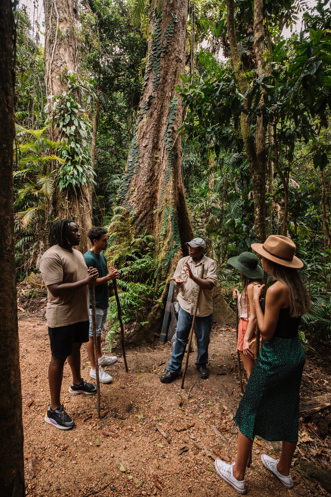 Reef & Rainforest – Silky Oaks Lodge | 2pp from Melbourne | Rainforest Retreat (2 nights)