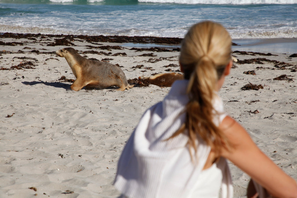 Island Retreat – Southern Ocean Lodge | 2pp from Adelaide | Flinders Suite (2 nights)