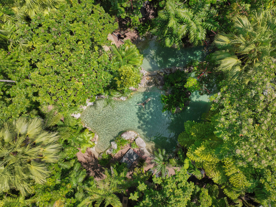 Reef & Rainforest – Silky Oaks Lodge | 2pp from Melbourne | Rainforest Retreat (2 nights)